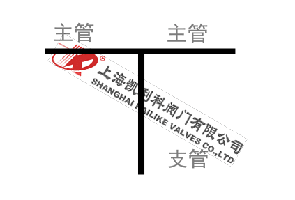 正折流式T型過(guò)濾器管路支管圖